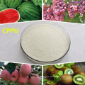 Hot Sale Plant Growth Regulator Cytokinin CPPU KT30 For Fruits